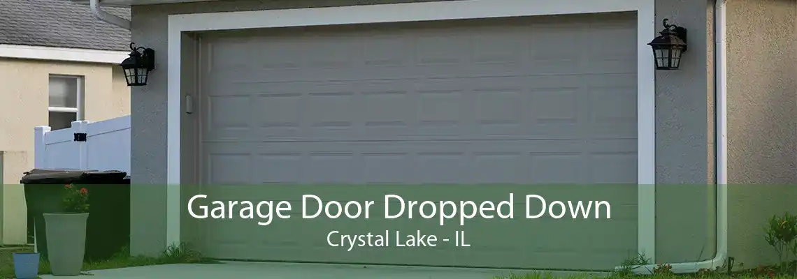 Garage Door Dropped Down Crystal Lake - IL