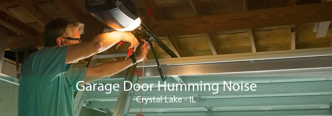 Garage Door Humming Noise Crystal Lake - IL