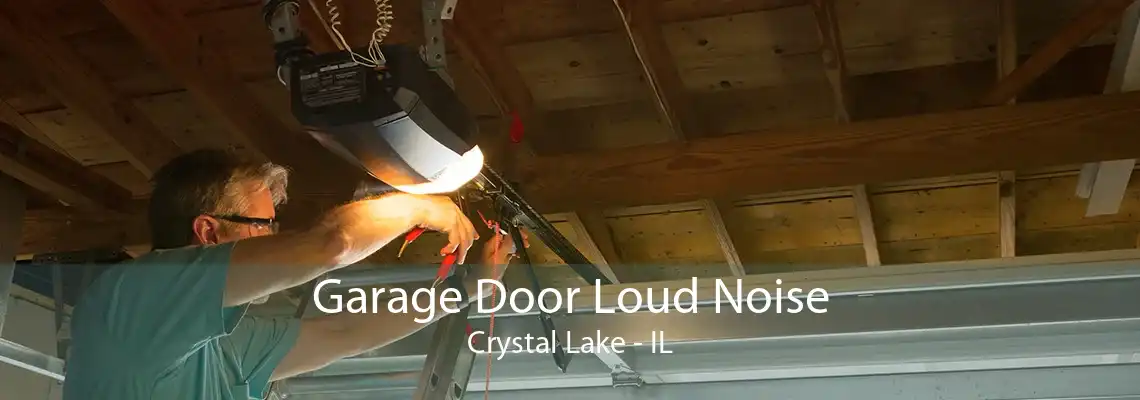 Garage Door Loud Noise Crystal Lake - IL