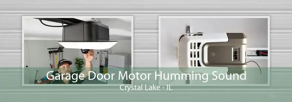 Garage Door Motor Humming Sound Crystal Lake - IL