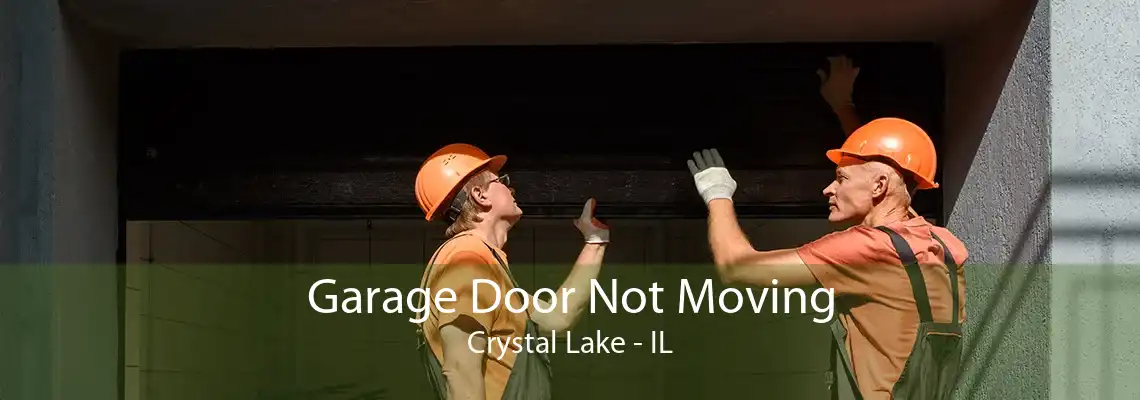 Garage Door Not Moving Crystal Lake - IL