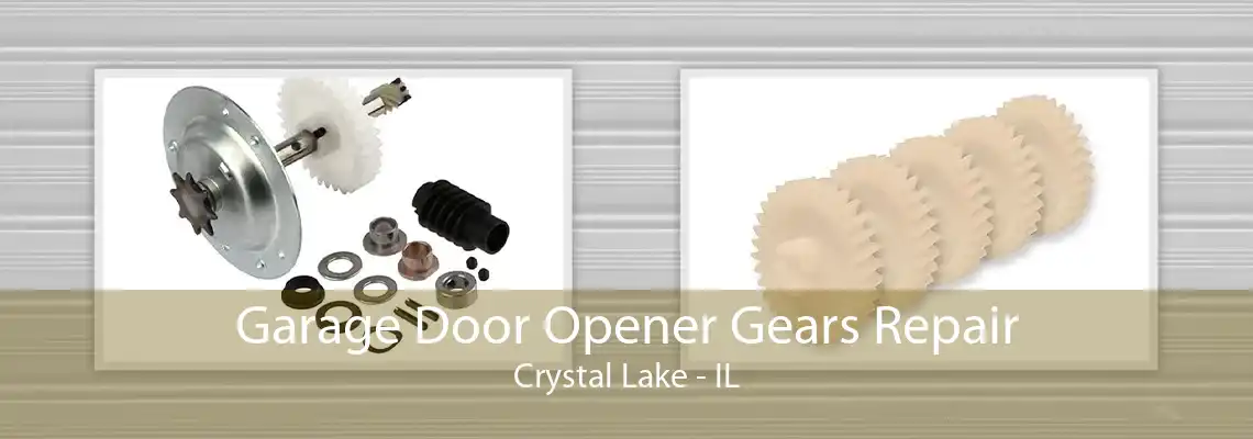 Garage Door Opener Gears Repair Crystal Lake - IL