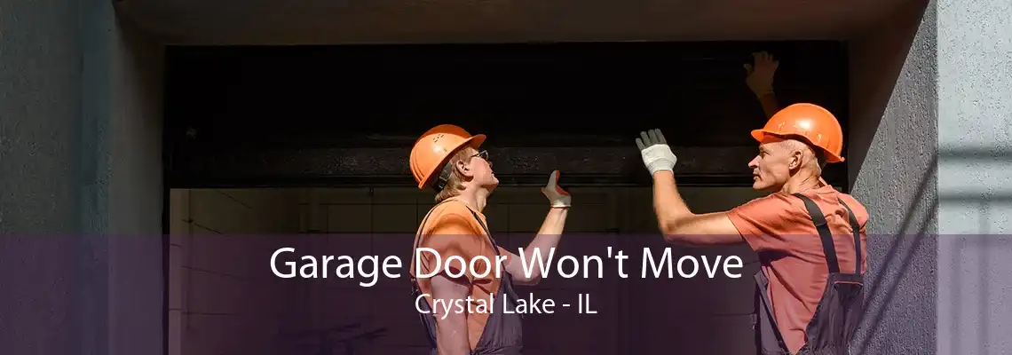 Garage Door Won't Move Crystal Lake - IL